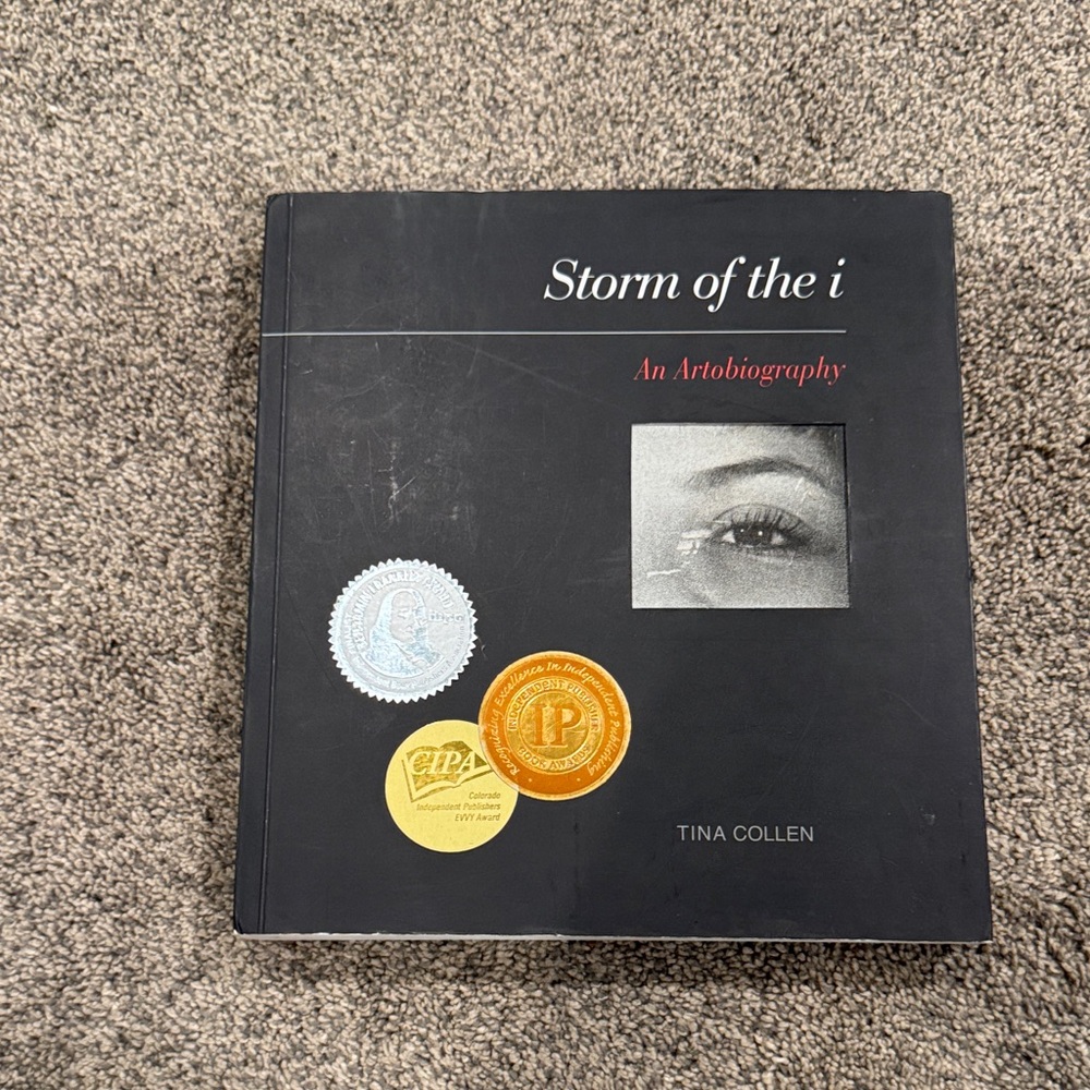 Storm of the i: An Artobiography Book